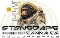 OBI-WAN CANNABIS — Galactic Cannabis Experience