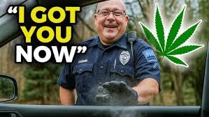 OBI-WAN CANNABIS — Sunland Park Dispensary